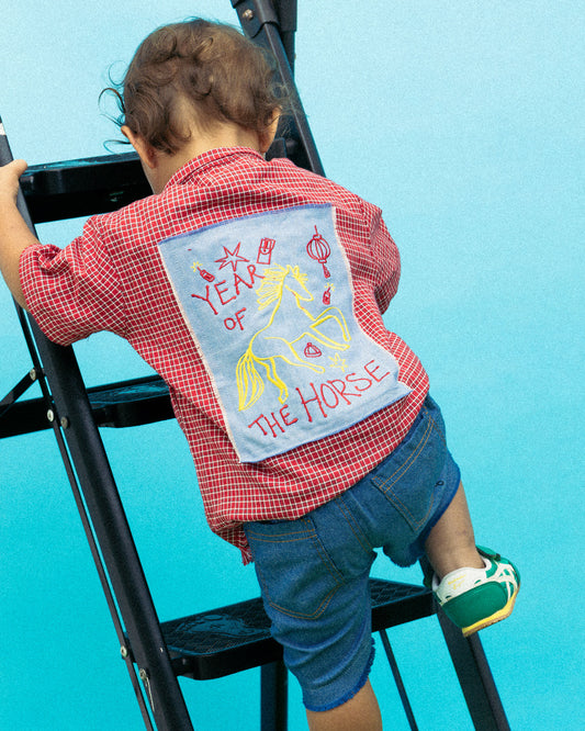 Fiery Red Horse Checkered Shirt